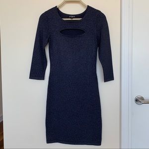 Express Bodycon Dress in Dark Blue with Shimmer